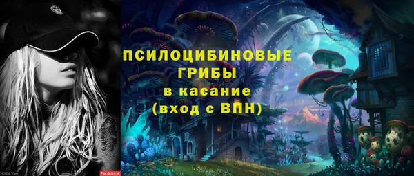 стафф Абинск